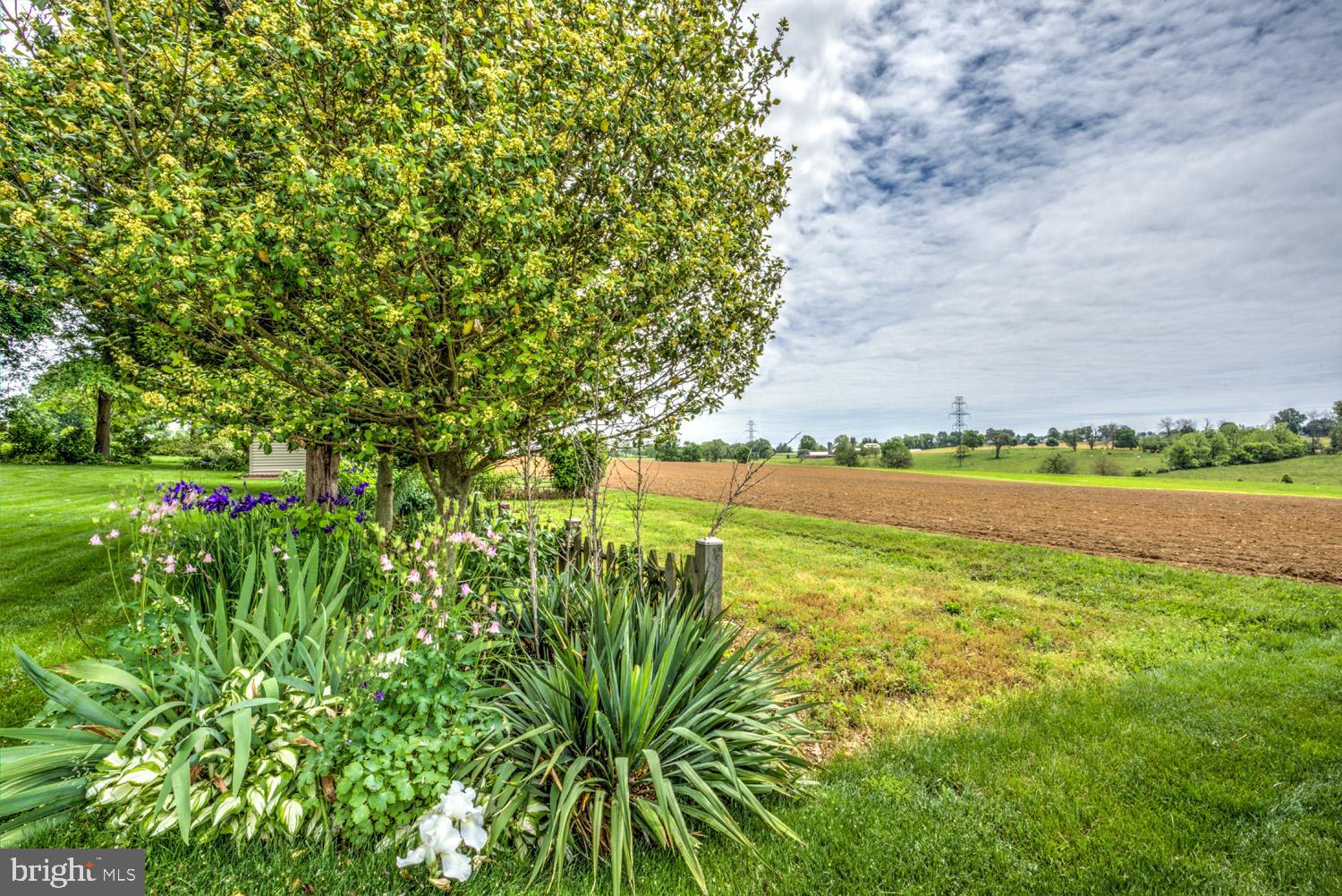 1732 Rockvale Road Lancaster, PA 17602 - Photo 33 of 33 Farmland Views from Rear Yard