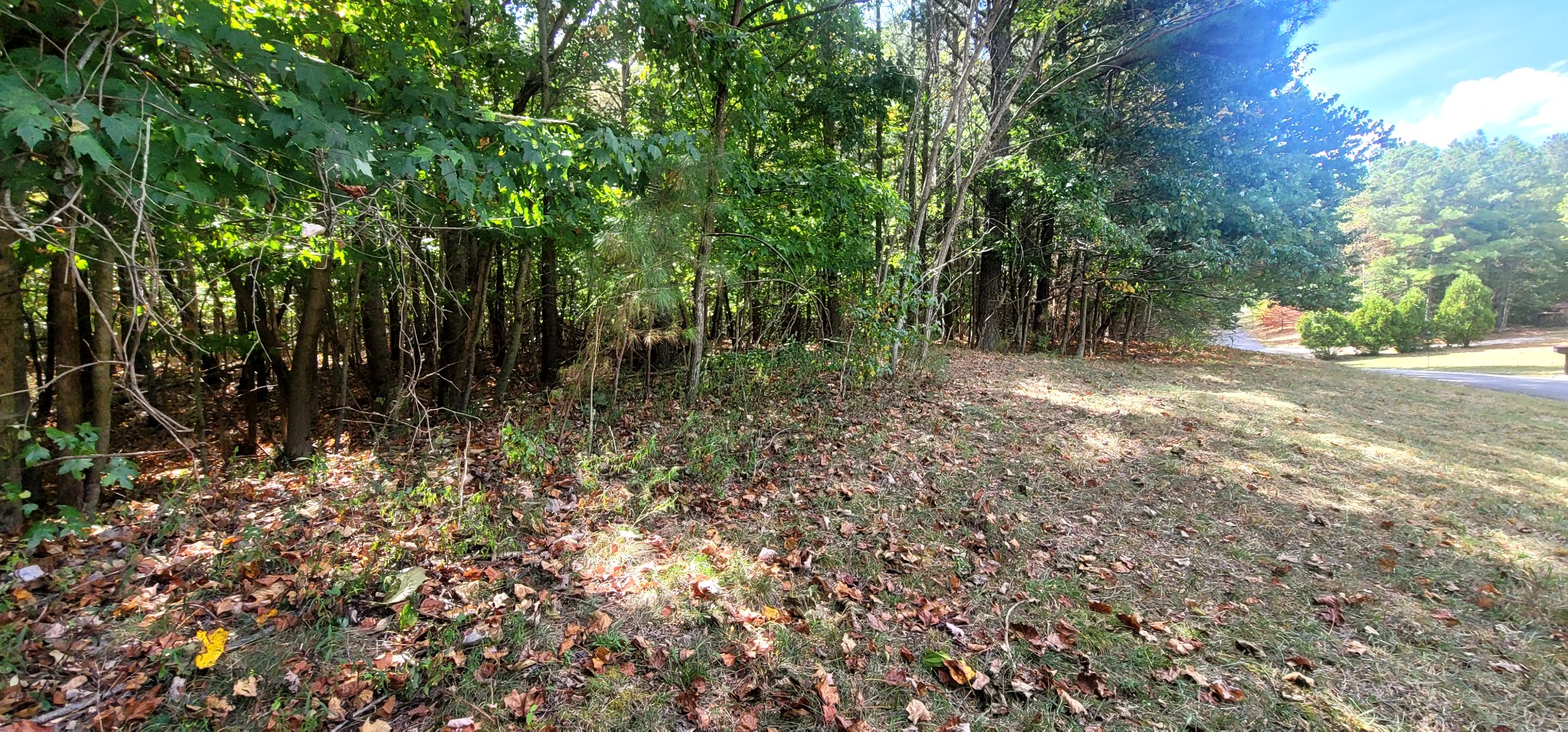 0 Sunset Road Rock Island, TN 38581 - Photo 10 of 20 Gallery Image 10