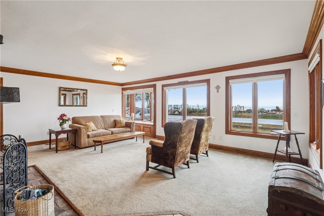 337 Cedar Point Road Sandusky, OH 44870 - Photo 5 of 50 Carpeted living area featuring ornamental molding and baseboards