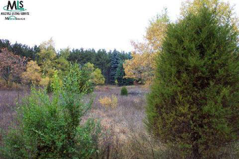 728 Angle Road Lapeer, MI 48446 - Photo 1 of 3 885000.JPG