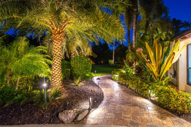 a view of a yard with plants