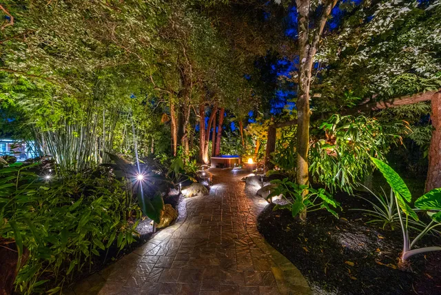 a view of a potted plant