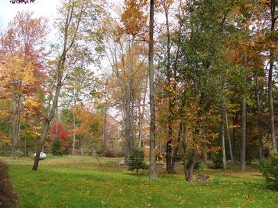 4770 Genesee Road Jonesville, MI 49250 - Photo 1 of 1 Primary Photo