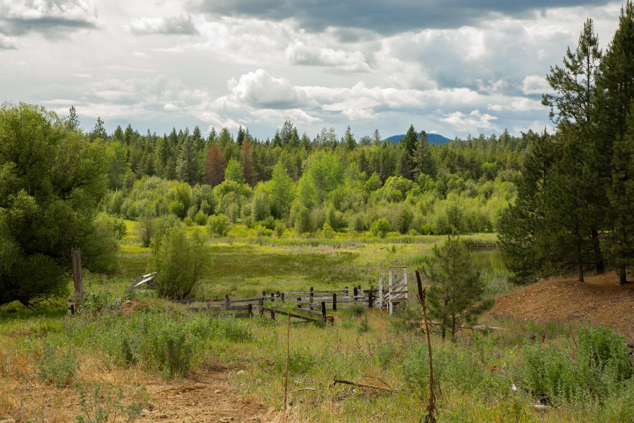4110 Cemetery Road Springdale, WA 99173 - Photo 10 of 42