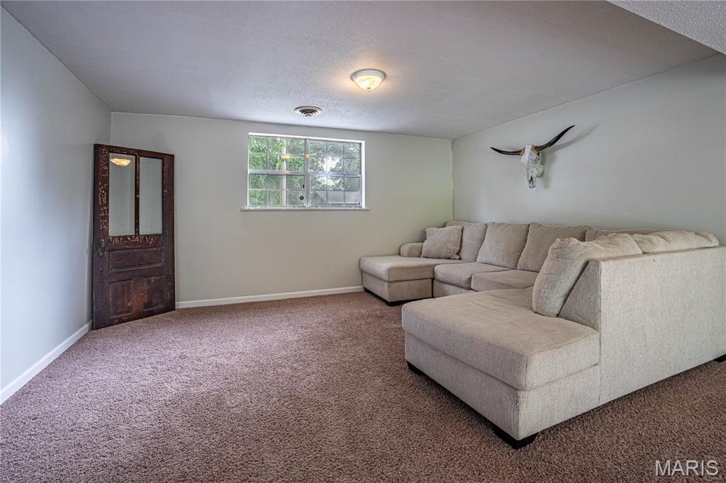 230 Ridge Drive Chester, IL 62233 - Photo 22 of 28 Gallery Image 22