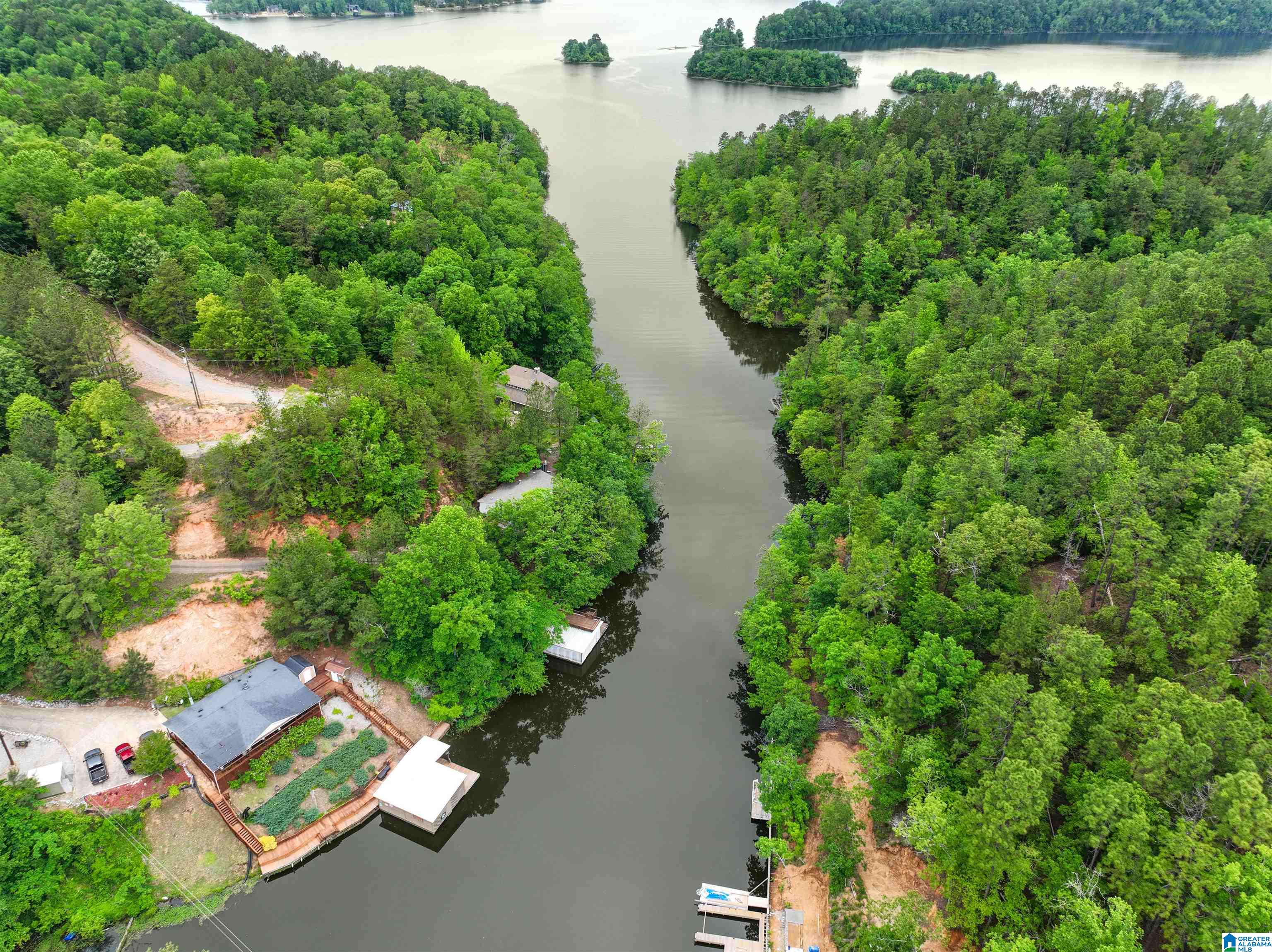 563 Indian Springs Road Rockford, AL 35136 - Photo 11 of 39