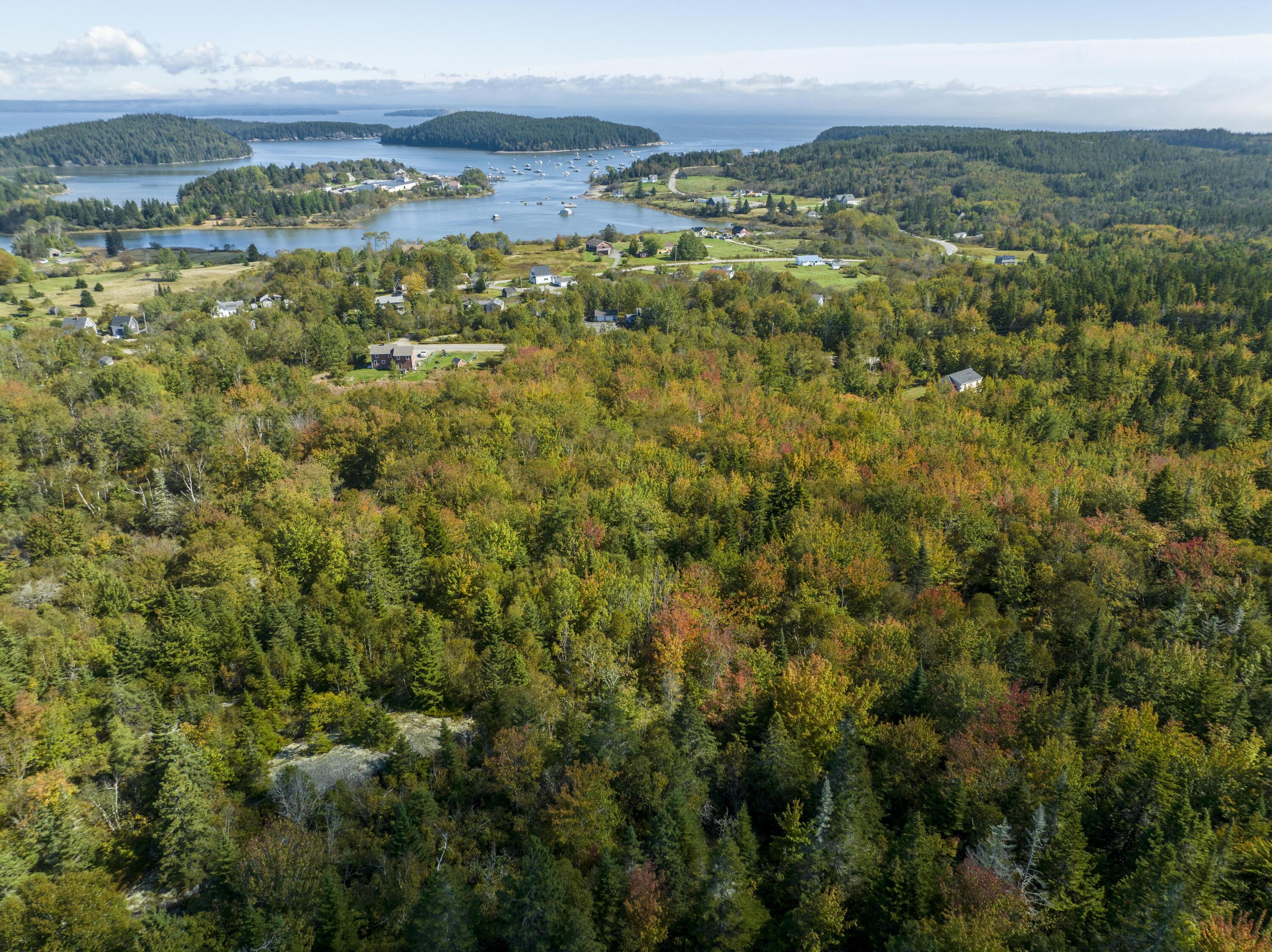 M17-l40 Ridge Road Machiasport, ME 04655 - Photo 3 of 17 Bucks Harbor Map 17 Lot 40 (7 of 18)