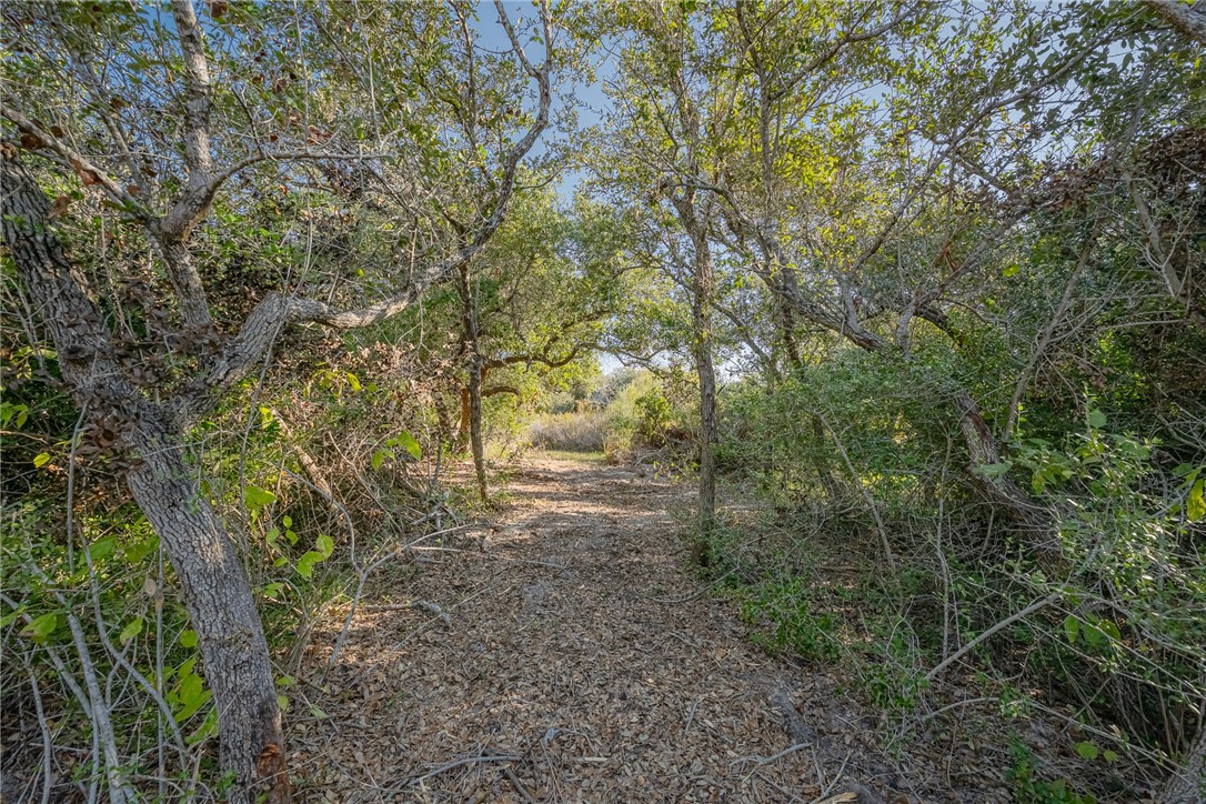 1501 Prairie Road Rockport, TX 78382 - Photo 2 of 17