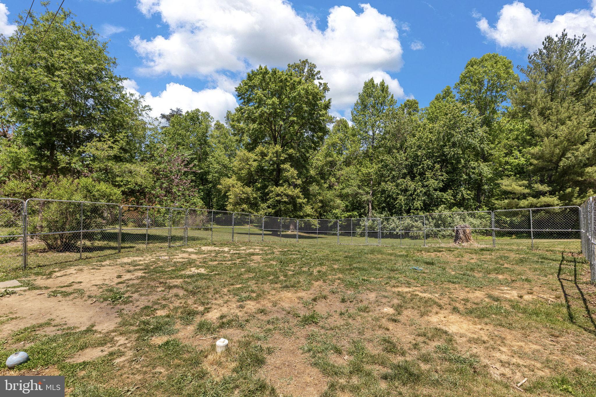 17195 Oakshade Road Orange, VA 22960 - Photo 30 of 31 Spacious fenced yard with lush greenery.