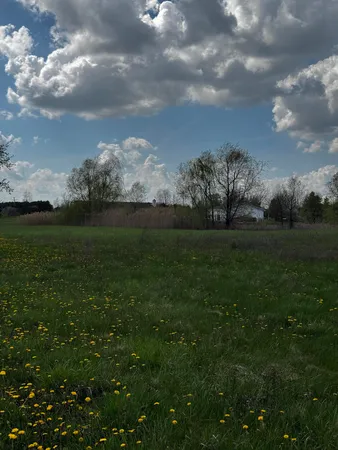 $78,000 | 9871 Crane Road, Milan, MI 48160