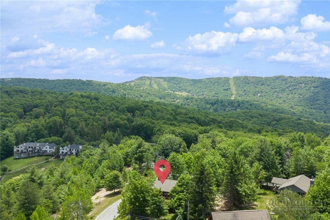 106 Upper Grouse Ridge Road Beech Mountain, NC 28604 - Photo 6 of 27