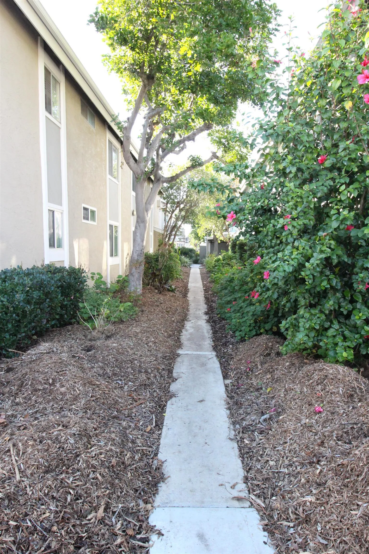 11183 Kelowna Road, Unit 36 San Diego, CA 92126 - Photo 17 of 19 a view of a pathway with a house in the background