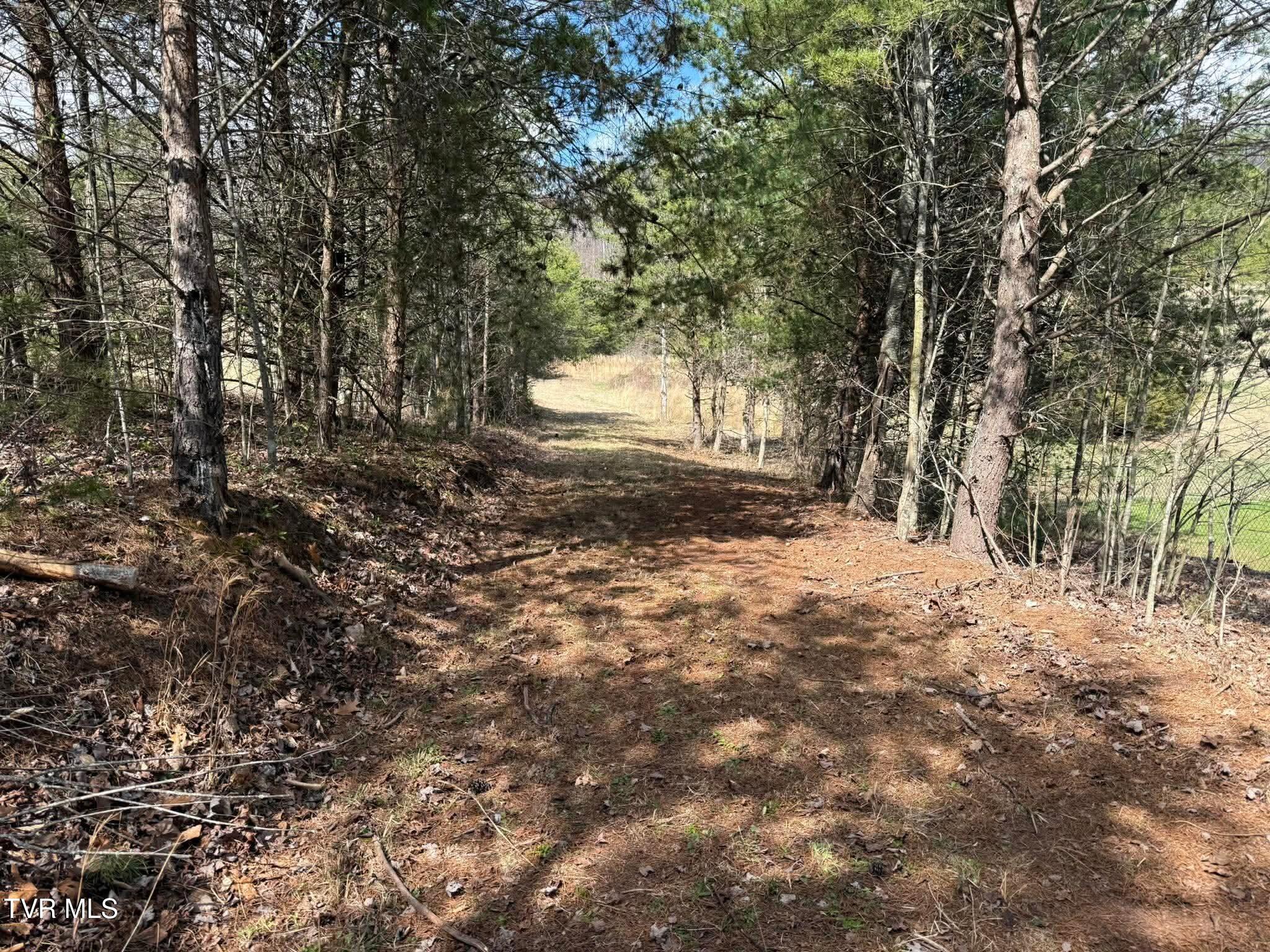 0 Dyer Hollow Road, Unit 3 Mohawk, TN 37810 - Photo 11 of 11 ef948fbbb444326862135a390869cb5e