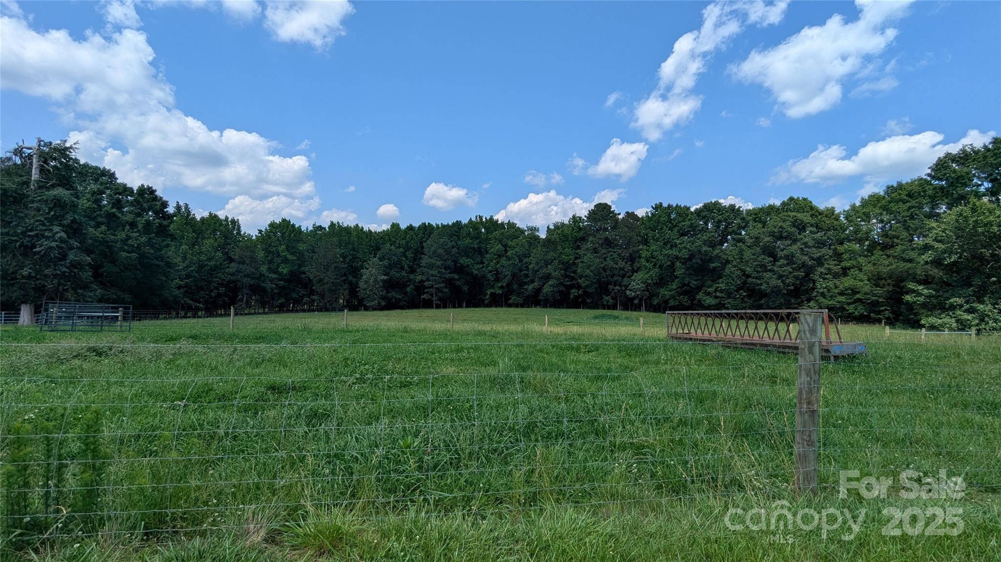 5151 Merle Road Concord, NC 28025 - Photo 3 of 6 a view of a big yard
