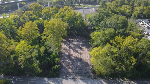 a view of a garden with plants