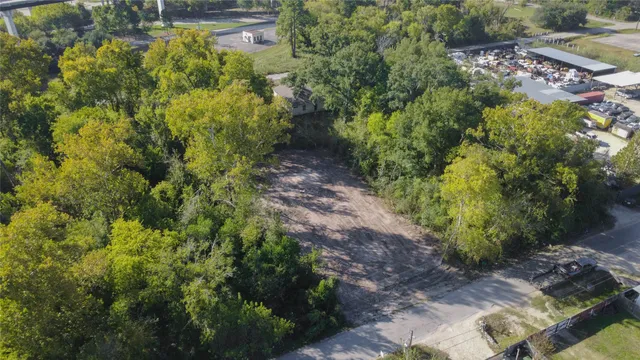a view of a garden with plants