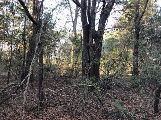 6-ac Adams Pond Road Opp, AL 36467 - Photo 11 of 20 Gallery Image 11