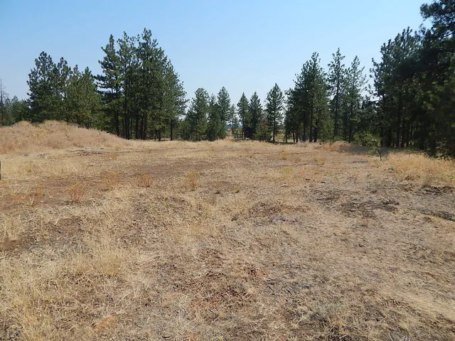 $115,000 | 249014 West Kitt Road, Reardan, WA 99029