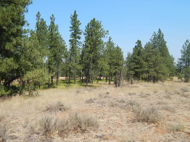 $115,000 | 249014 West Kitt Road, Reardan, WA 99029