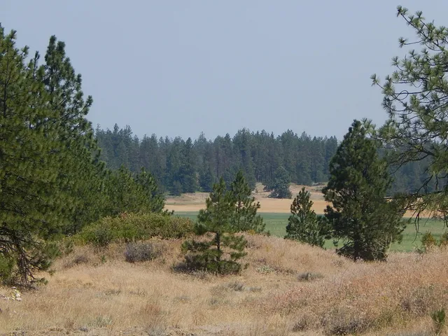 $115,000 | 249014 West Kitt Road, Reardan, WA 99029