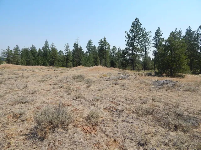 $115,000 | 249014 West Kitt Road, Reardan, WA 99029