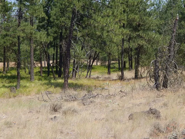 $115,000 | 249014 West Kitt Road, Reardan, WA 99029