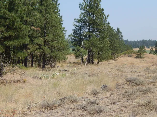 $115,000 | 249014 West Kitt Road, Reardan, WA 99029