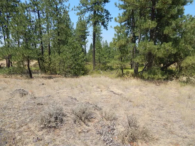 $115,000 | 249014 West Kitt Road, Reardan, WA 99029