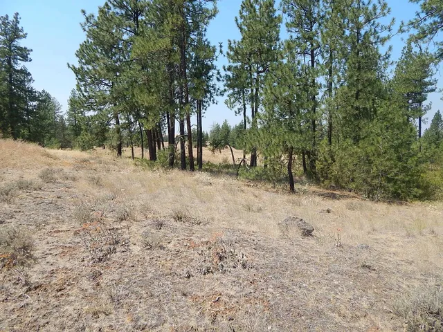 $115,000 | 249014 West Kitt Road, Reardan, WA 99029