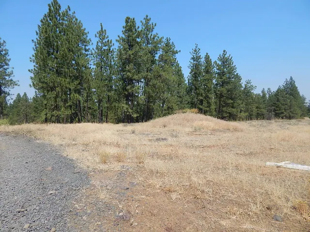 $115,000 | 249014 West Kitt Road, Reardan, WA 99029