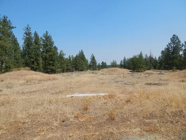 $115,000 | 249014 West Kitt Road, Reardan, WA 99029