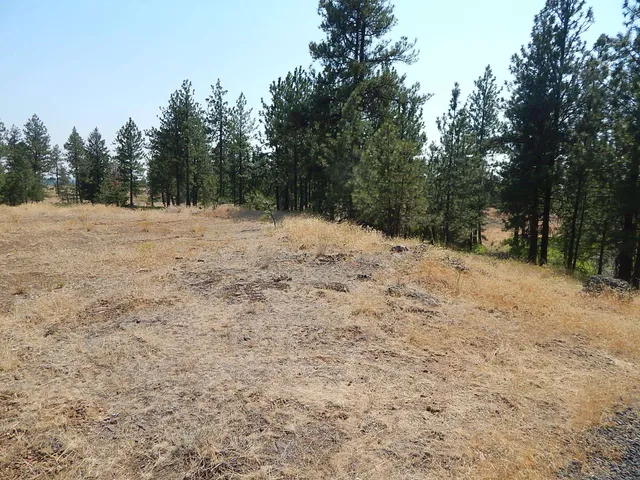 $115,000 | 249014 West Kitt Road, Reardan, WA 99029