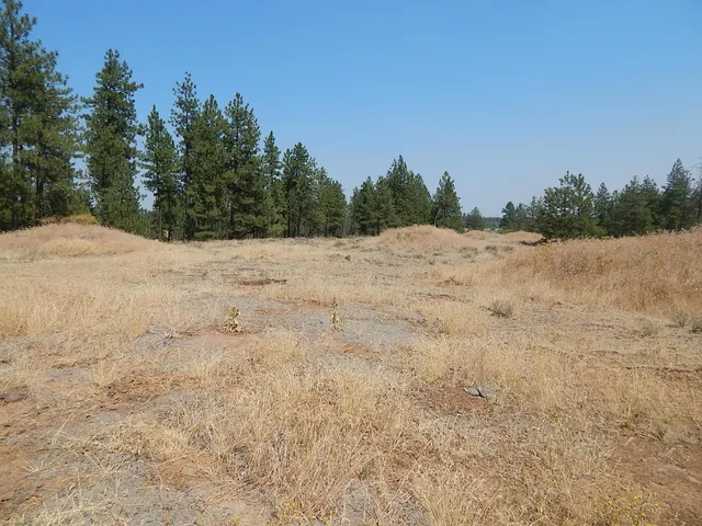 $115,000 | 249014 West Kitt Road, Reardan, WA 99029