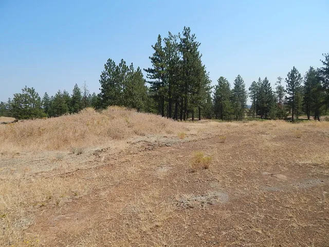 $115,000 | 249014 West Kitt Road, Reardan, WA 99029