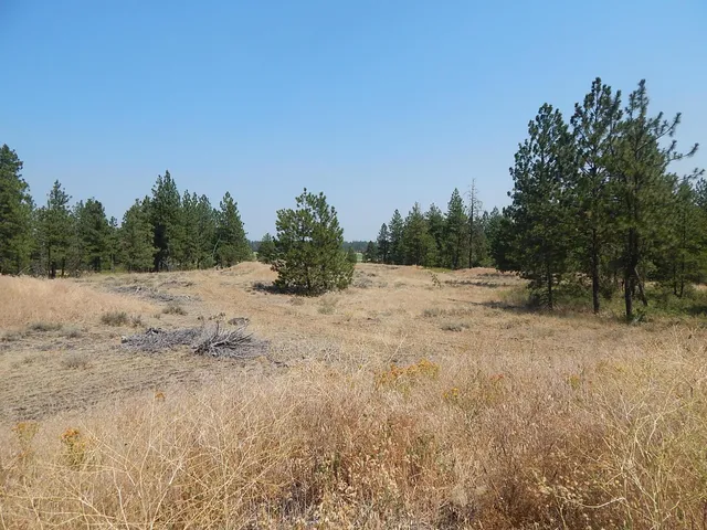 $115,000 | 249014 West Kitt Road, Reardan, WA 99029