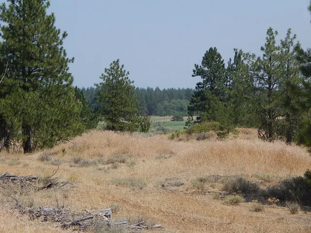 $115,000 | 249014 West Kitt Road, Reardan, WA 99029