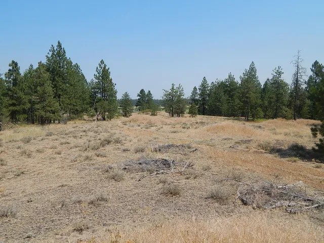 $115,000 | 249014 West Kitt Road, Reardan, WA 99029