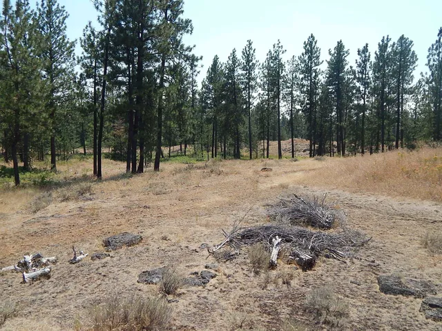 $115,000 | 249014 West Kitt Road, Reardan, WA 99029