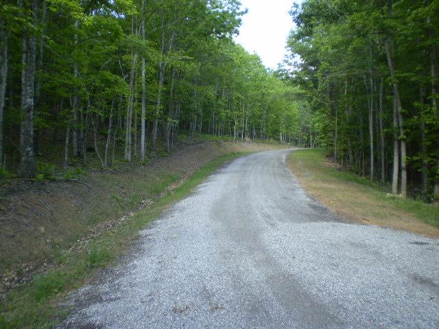 638 Mt Chestnut Road New Castle, VA 24127 - Photo 8 of 12 Driveway