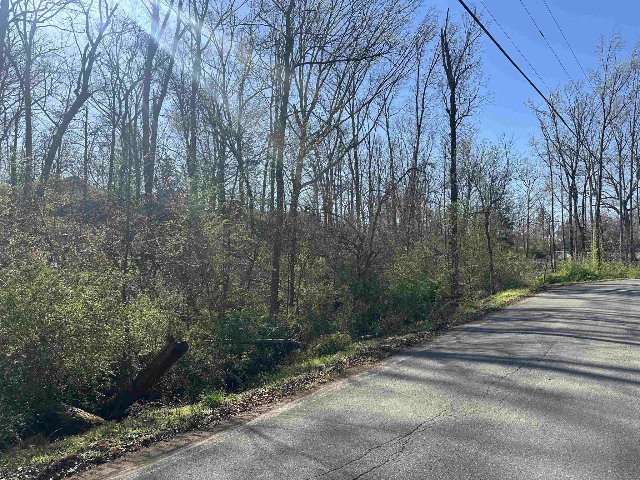 0 Crump Landing Road Crump, TN 38327 - Photo 1 of 10 a backyard of a house with lots of green space