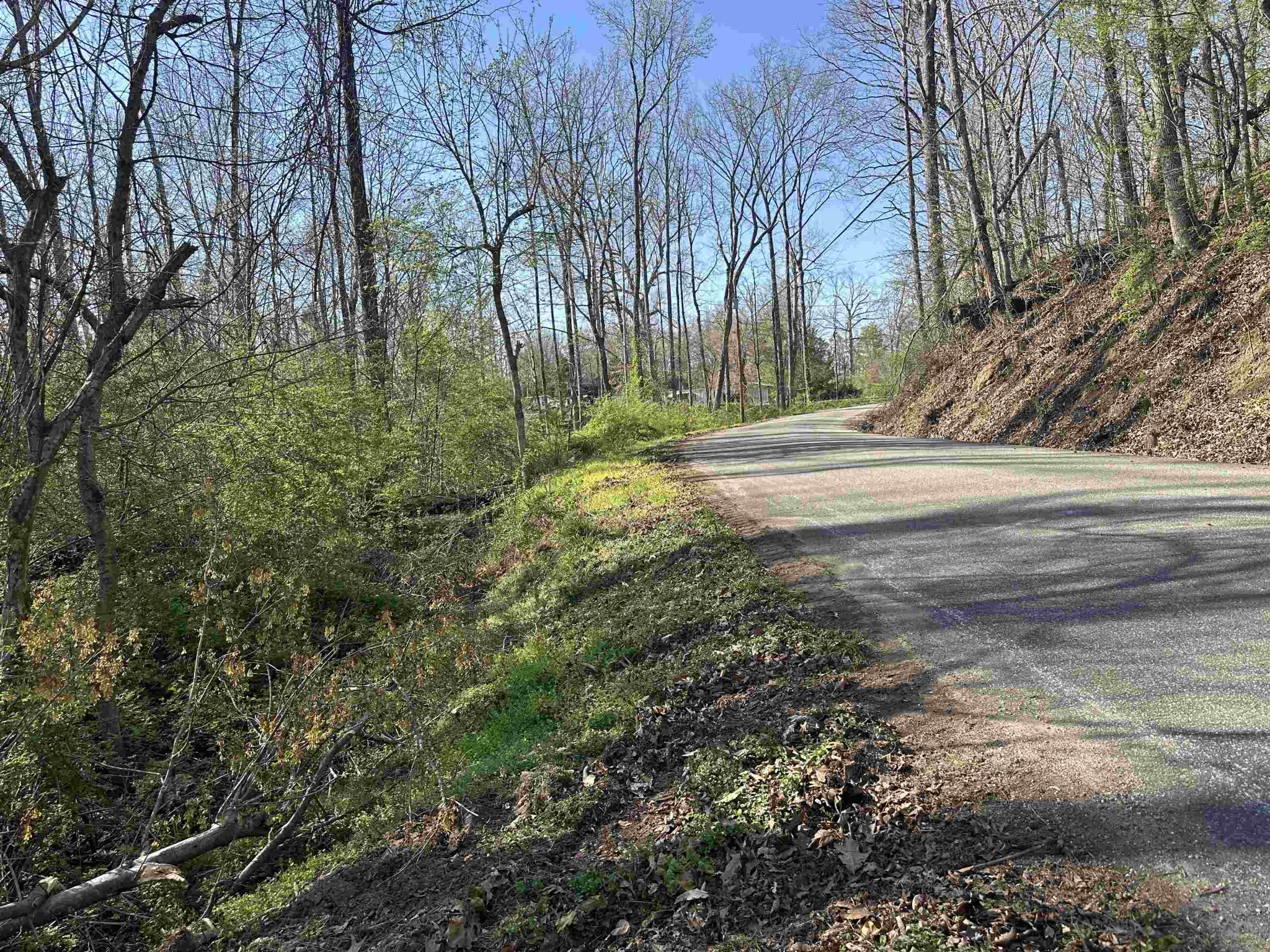 0 Crump Landing Road Crump, TN 38327 - Photo 7 of 10 a view of yard with green space