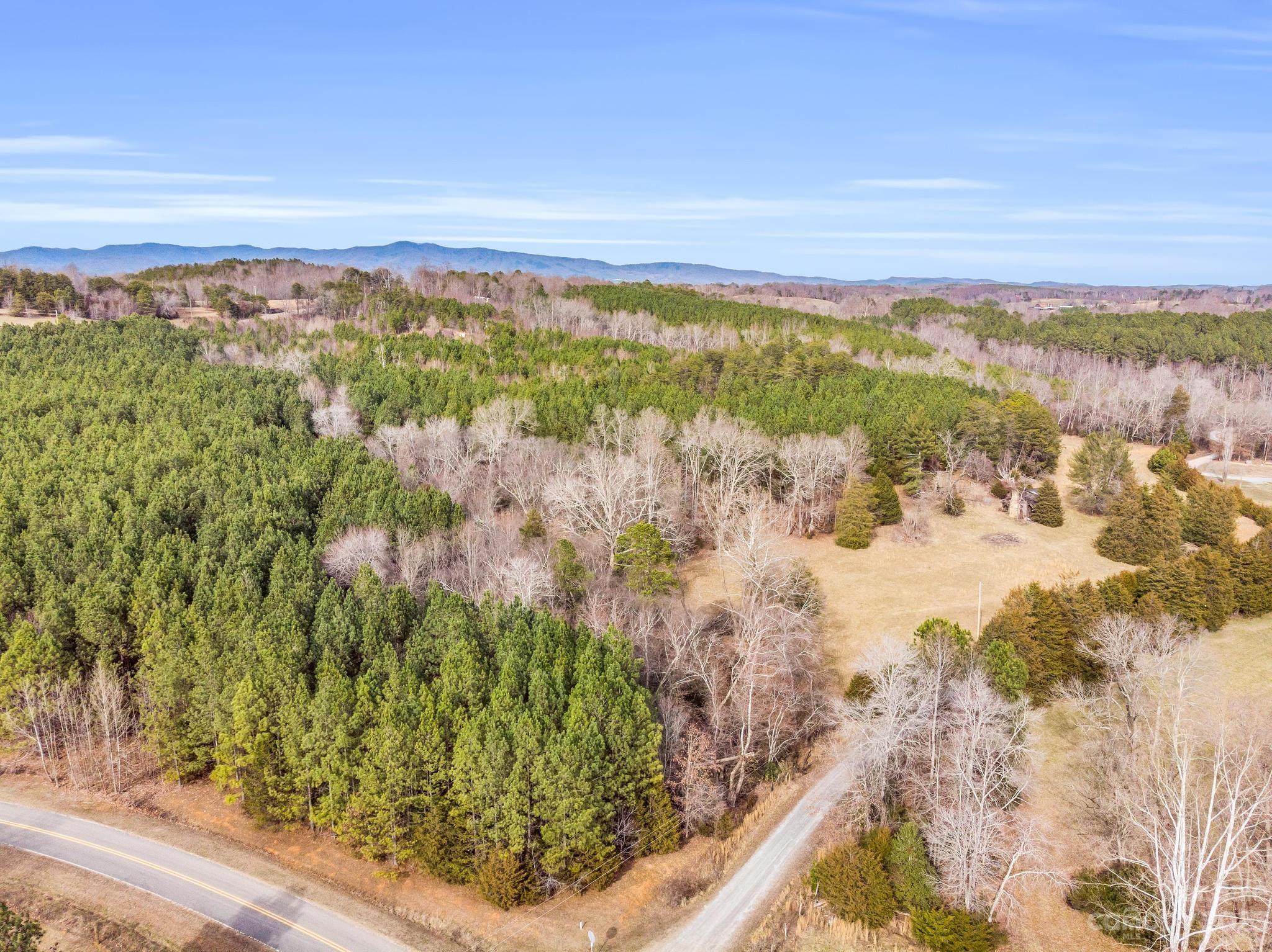 0 Joe Hoyle Road Lawndale, NC 28090 - Photo 3 of 48 Gallery Image 3