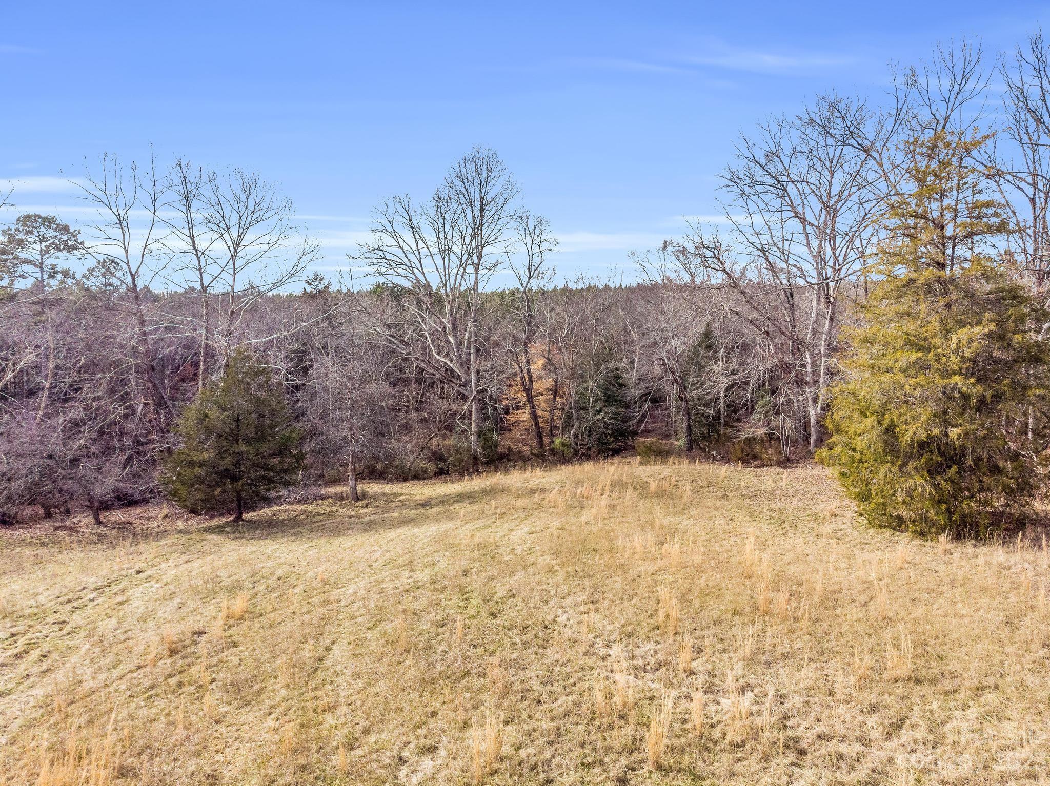 0 Joe Hoyle Road Lawndale, NC 28090 - Photo 40 of 48 Gallery Image 40