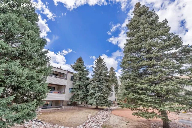 a view of a house with a tree