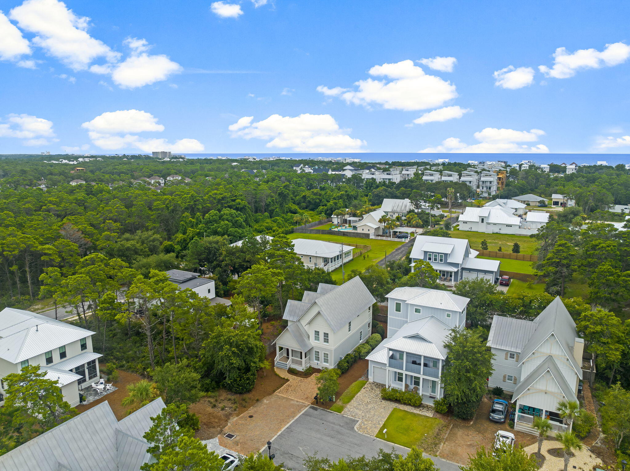 60 Willow Mist Road Inlet Beach, FL 32461 - Photo 38 of 57 an aerial view of residential houses with outdoor space and ocean view