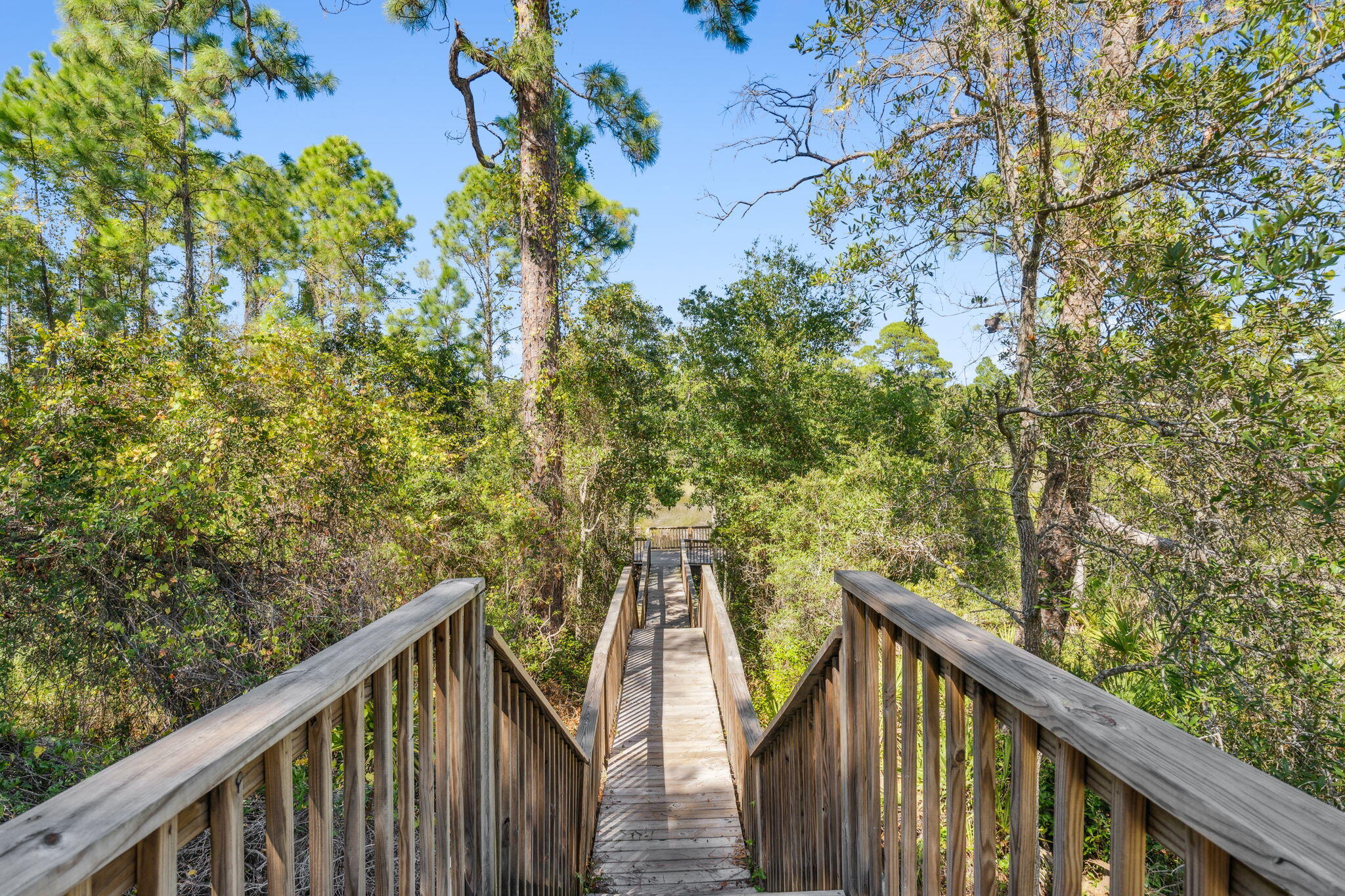 60 Willow Mist Road Inlet Beach, FL 32461 - Photo 47 of 57 53-web-or-mls-60-willow-mist-rd