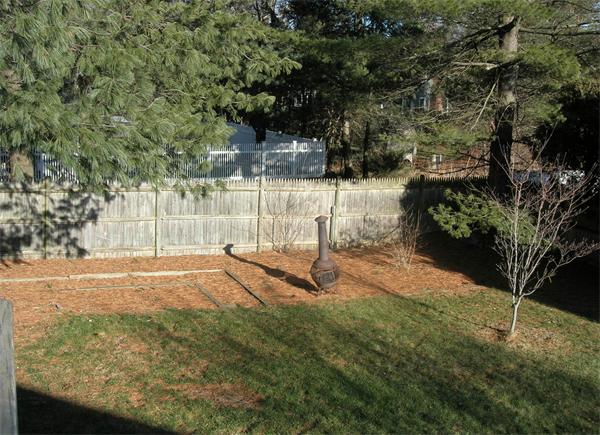 118 Worthen Road Lexington, MA 02421 - Photo 3 of 15 a view of a yard with a tree