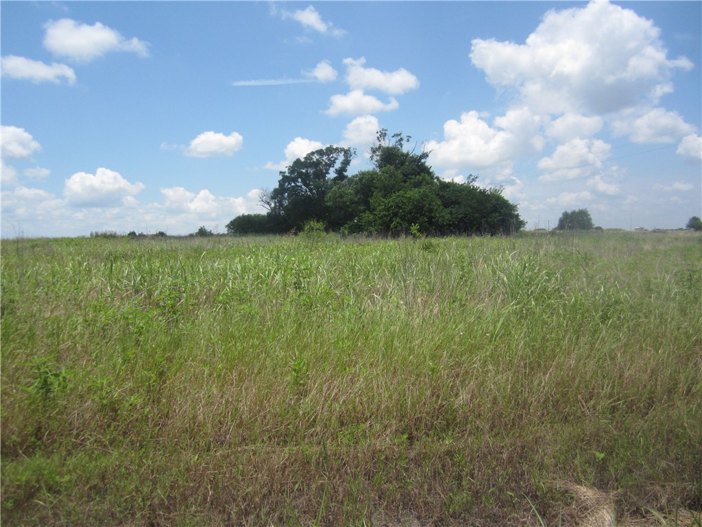 0 County Road 428 Taylor, TX 76574 - Photo 1 of 1