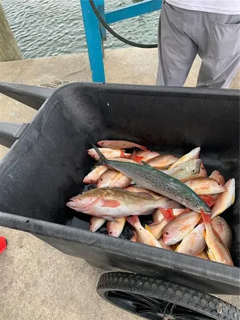 $994,000 | 430 Northwest 39th Avenue, Cape Coral, FL 33993