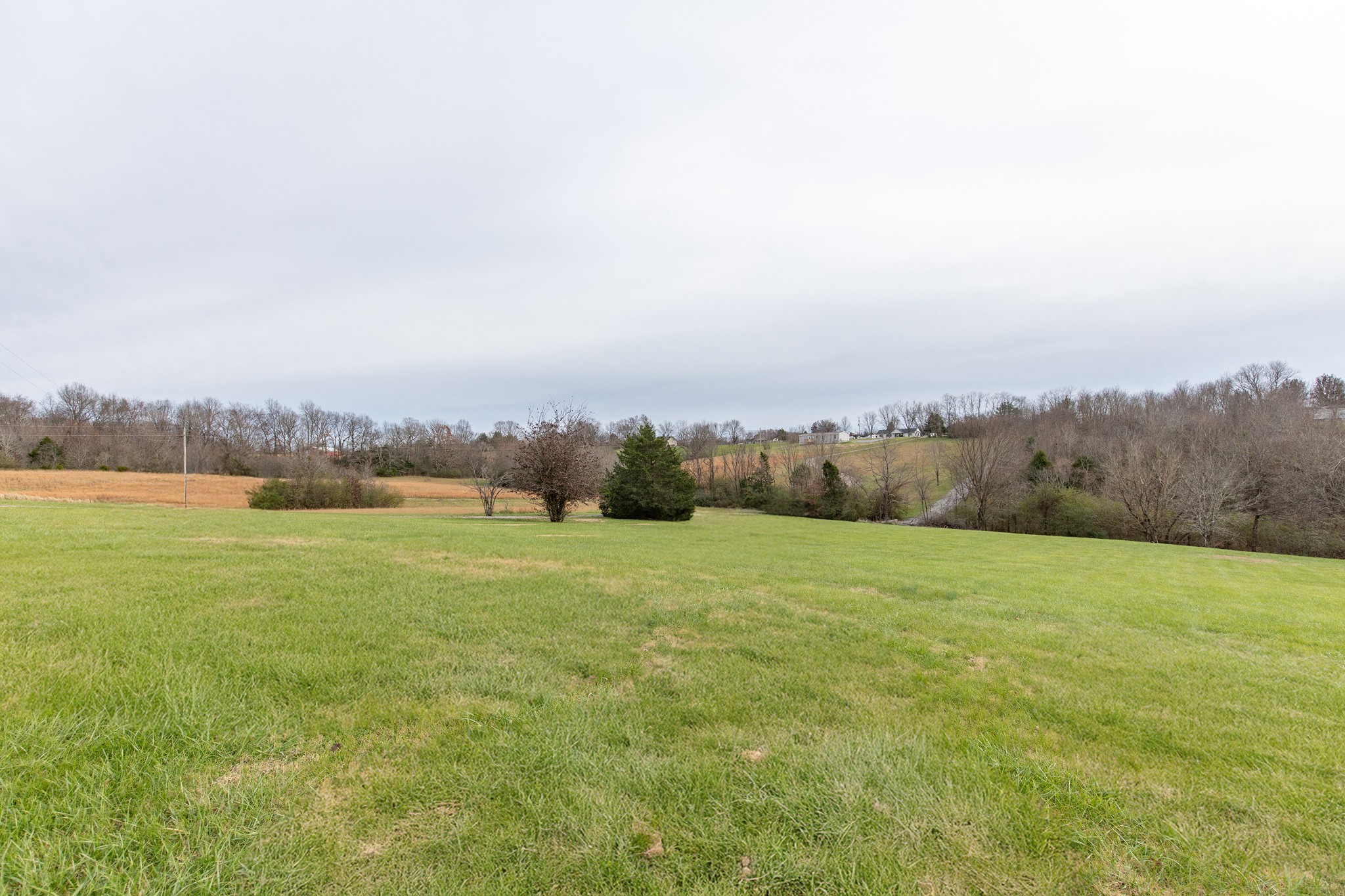1417 Fairfield Road Westmoreland, TN 37186 - Photo 30 of 47 Views as far as the eye can see